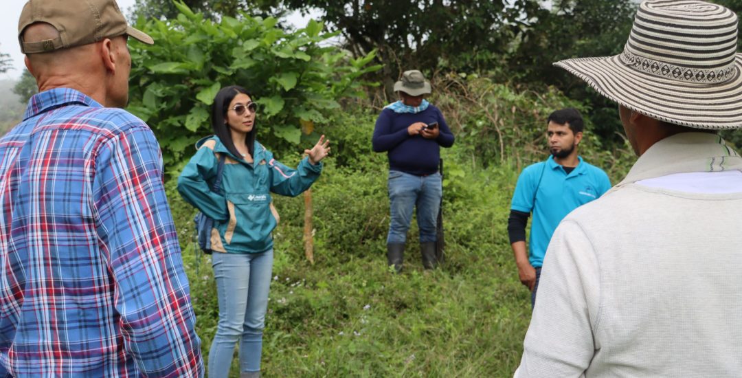Reforestación Viotá, Cundinamarca (2) (1) (1)