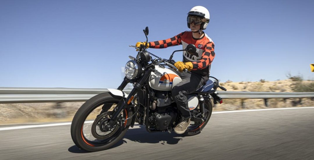 RoyalEnfield_Bear650_act_178 (1)