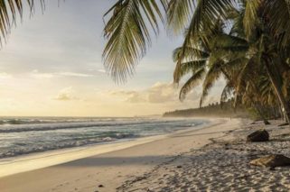Viajar Jamaica