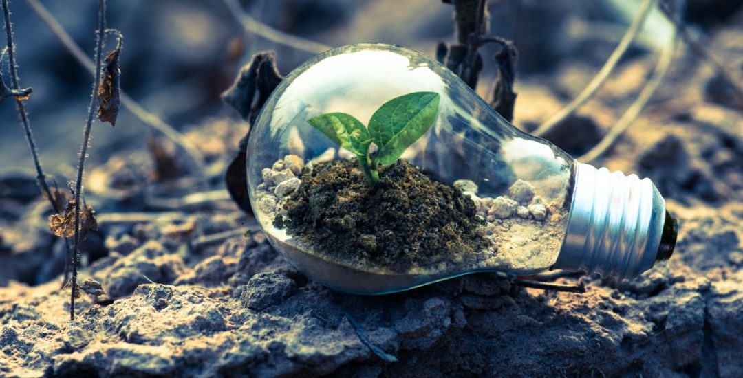 eco- RSE- sostenibilidad