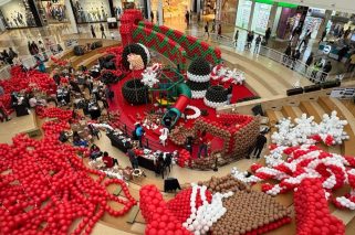 WhatsApp Image 2025-11-12 at 4.29.06 PM