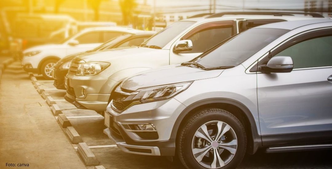 WhatsApp Image 2025-11-18 at 11.00.33 AM