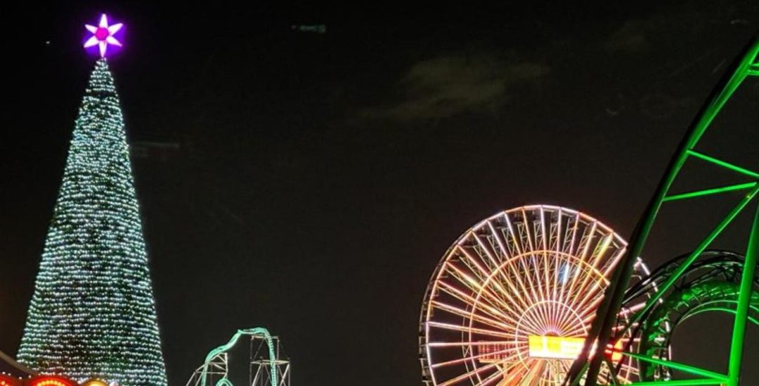 WhatsApp Image 2025-11-25 at 10.24.02 AM