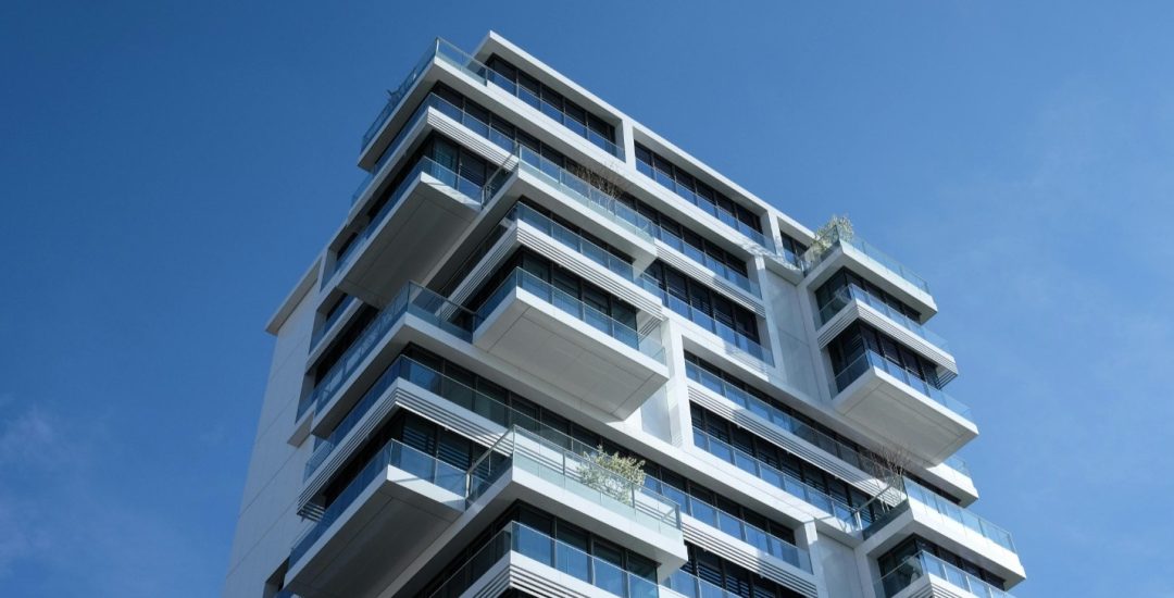 WhatsApp Image 2025-12-17 at 11.51.02 AM