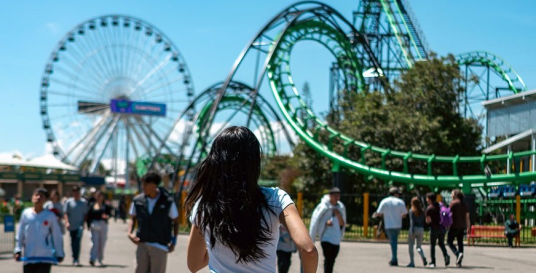 WhatsApp Image 2026-01-14 at 8.02.24 AM (1)