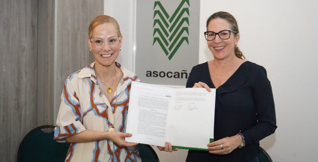 WhatsApp Image 2026-04-10 at 3.05.39 PM