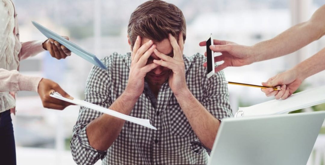 WhatsApp Image 2026-04-24 at 11.24.17 AM (1)