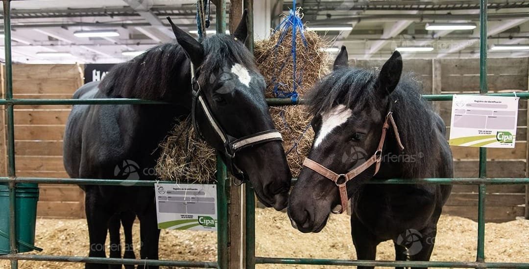 agroexpo-44 agroexpo-44