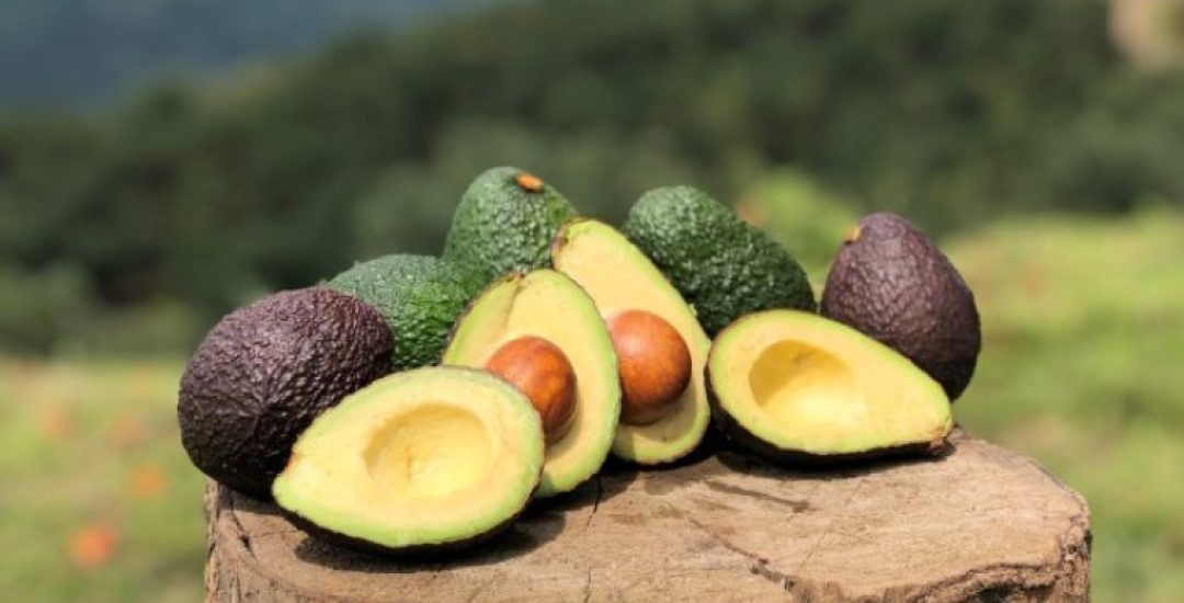 aguacate-web-760x423-c-default
