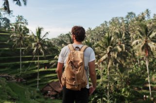 Back view of man explorer  with travel backpack enjoying natural environment of green  rise  plantation during trip in Bali .Tourist with rucksack standing in asia wild valley during treck.