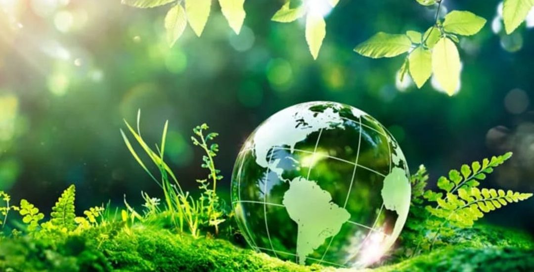 earth-day-environment-green-globe-forest_64-25