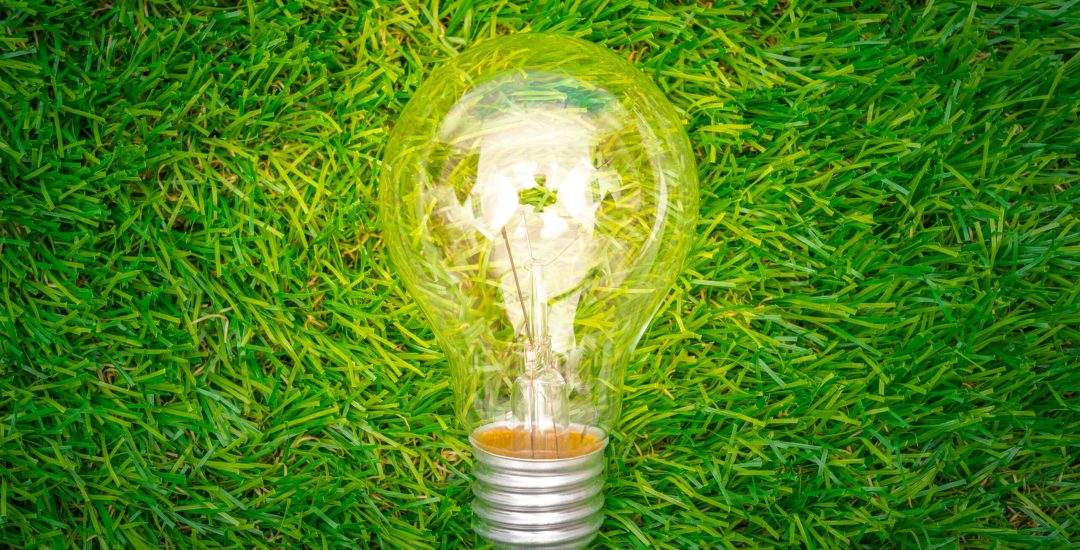eco-concept-light-bulb-grow-in-the-grass