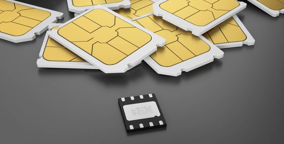 esim3