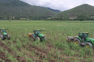 futuro del agro