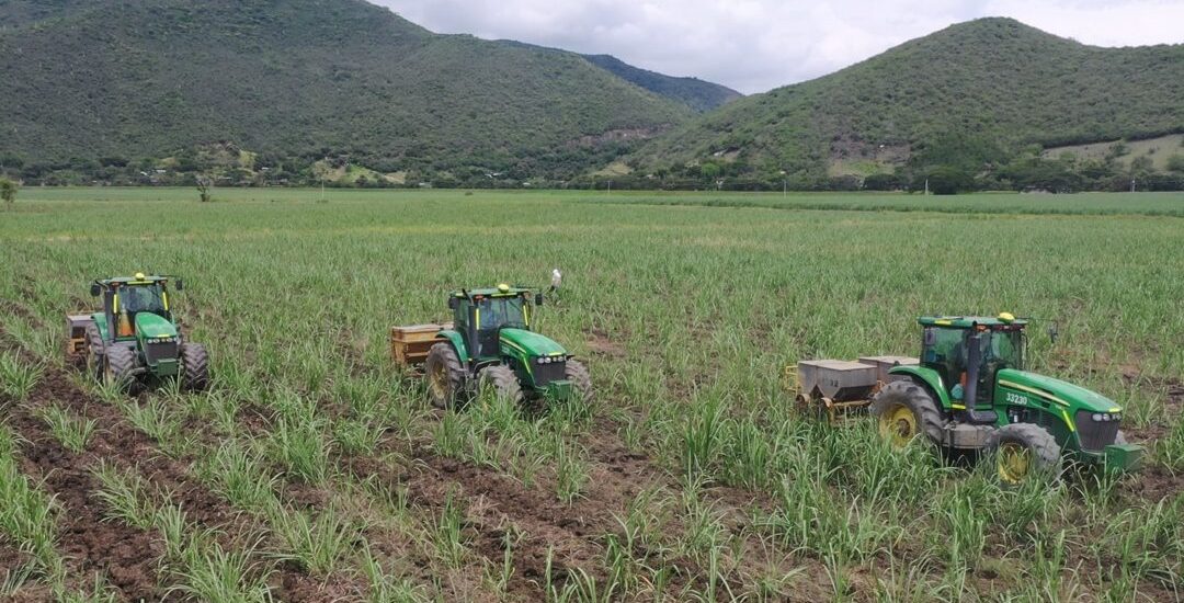 futuro del agro
