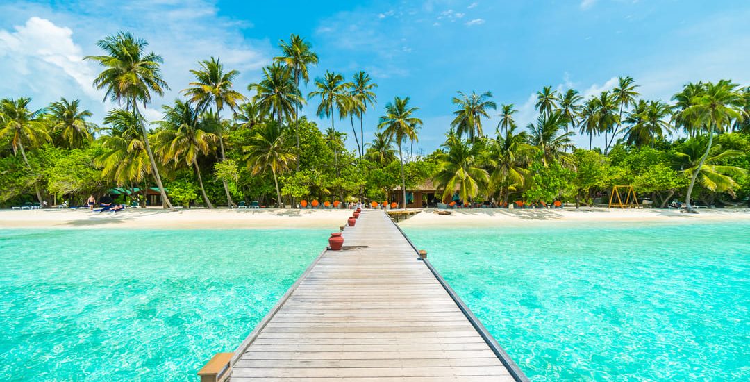 paisaje-palma-tropical-vacacione