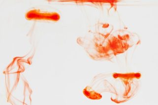 pexels-rccbtn-5939633