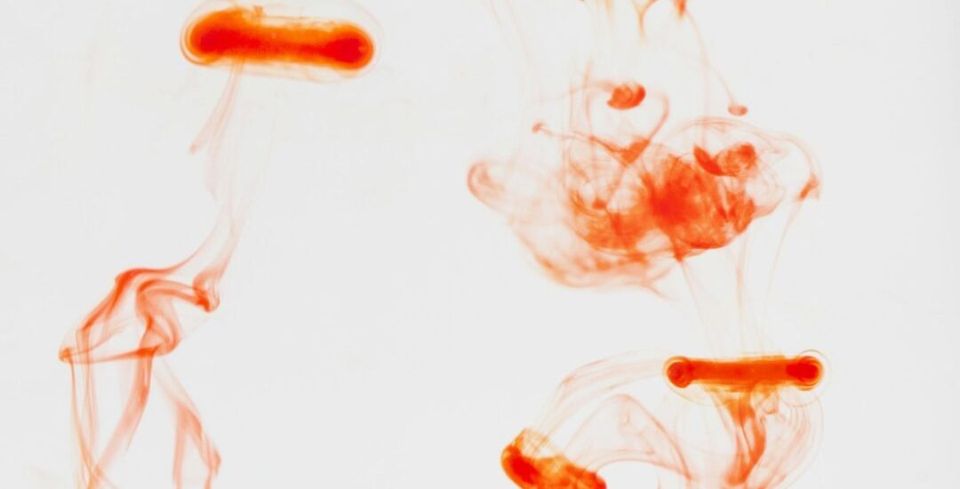 pexels-rccbtn-5939633