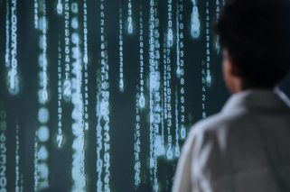 pexels-ron-lach-9783346