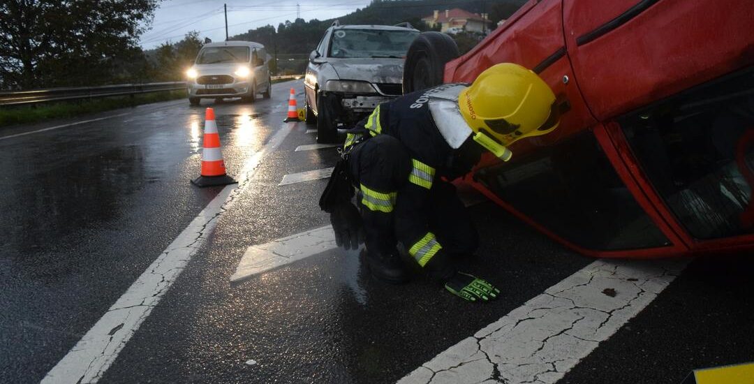 pexels-rui-dias-469842-35162427 (1)